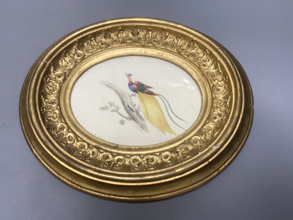 A pair of late Victorian watercolours of flower filled vases and another of a pheasant, framed, largest 14 x 9cm (3)